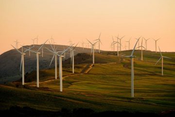 Image with no text or graphic visual. It is a photo of the wind turbines on a field shot before the sunset.